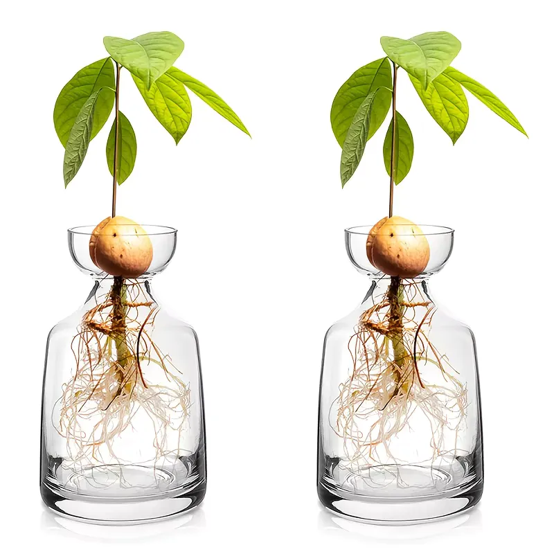 TWO TREES Vaso Inicial de Sementes de Abacate – Kit 2 Peças